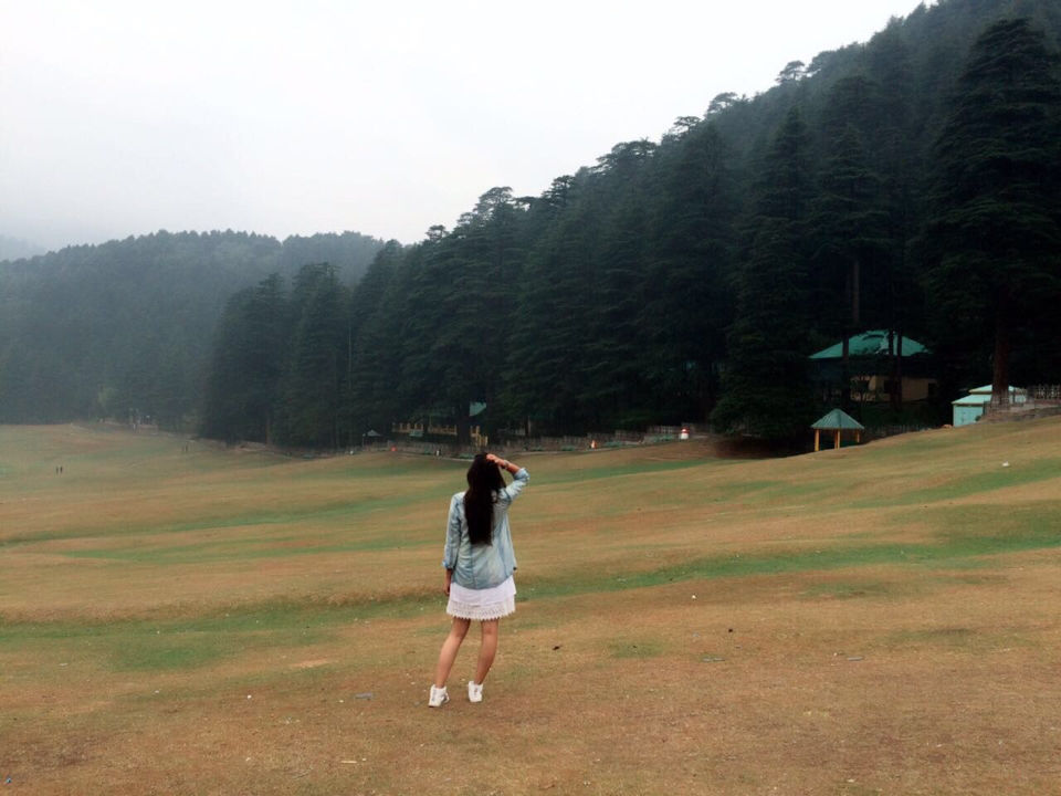 Photo of Why Himachal? - A Complete Nature's Drive by Anjali sahrawat