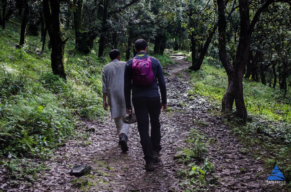 Photo of Nag Tibba Trek 26-27 Nov 5/5 by Team TrekTrails Adventures LLP