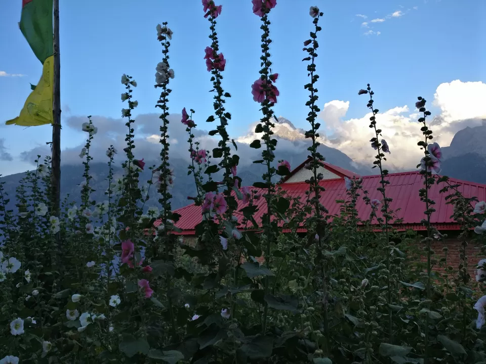 Photo of Kalpa, Reckong Peo, Himachal Pradesh, India by Lopamudra Mandal