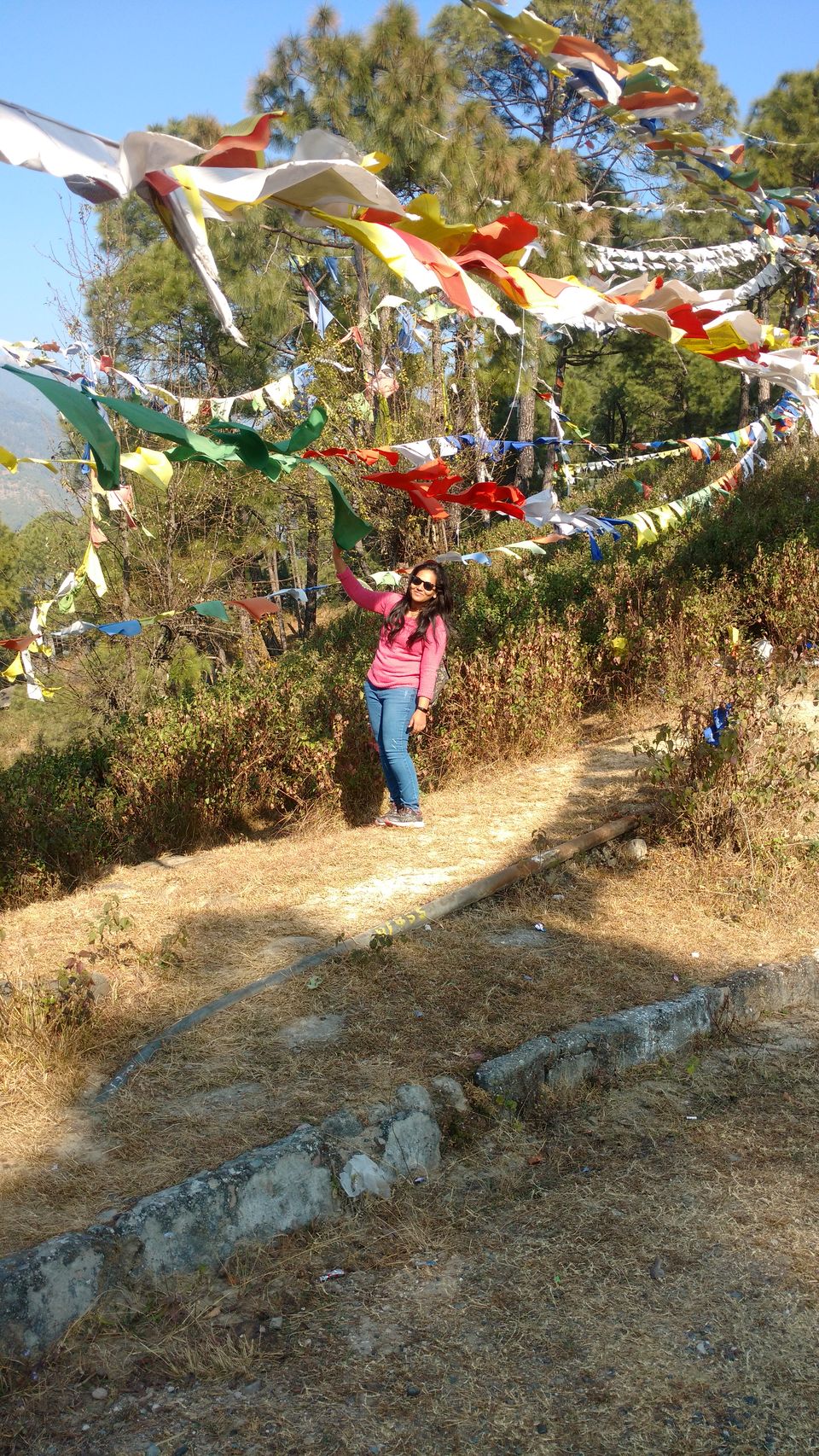 Photo of Palpung Sherabling Monastery, Sansal - Palpung Sherabling Monastery Road, Keori, Himachal Pradesh, India by Lopamudra Mandal