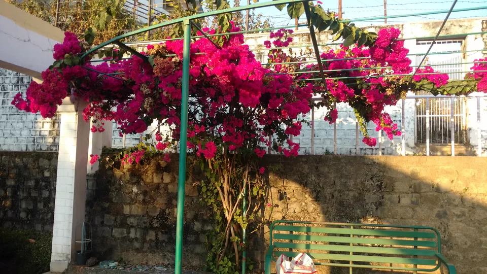 Photo of Deer Park Institute, Bir Colony, Chaugan, Himachal Pradesh, India by Lopamudra Mandal