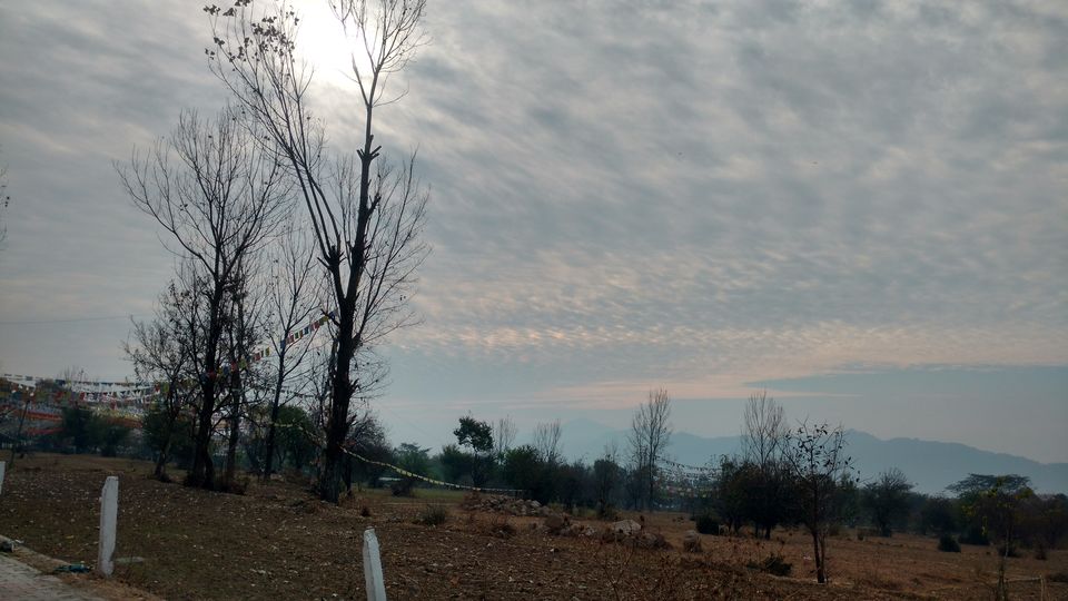 Photo of Garden Cafe, Bir Colony Road, Chaugan, Himachal Pradesh, India by Lopamudra Mandal