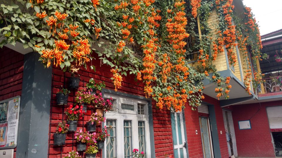Photo of Garden Cafe, Bir Colony Road, Chaugan, Himachal Pradesh, India by Lopamudra Mandal