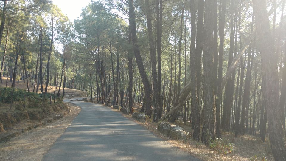Photo of Bir, Himachal Pradesh, India by Lopamudra Mandal