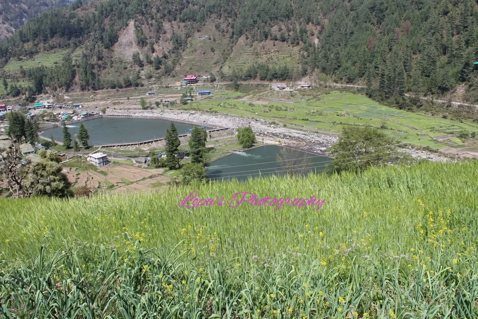 Photo of Barot, Himachal Pradesh, India by Lopamudra Mandal