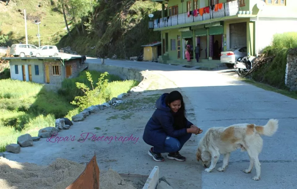 Photo of Barot, Himachal Pradesh, India by Lopamudra Mandal