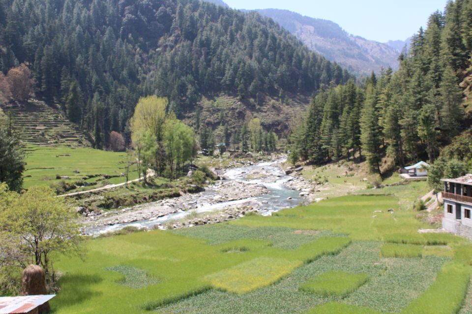 Photo of Barot- Far away from maddening crowds.. by Lopamudra Mandal