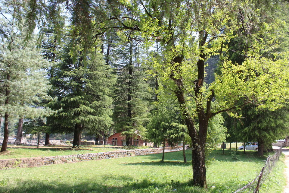 Photo of Barot- Far away from maddening crowds.. by Lopamudra Mandal