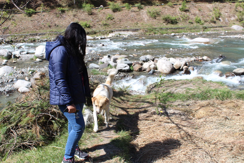 Photo of Barot- Far away from maddening crowds.. by Lopamudra Mandal