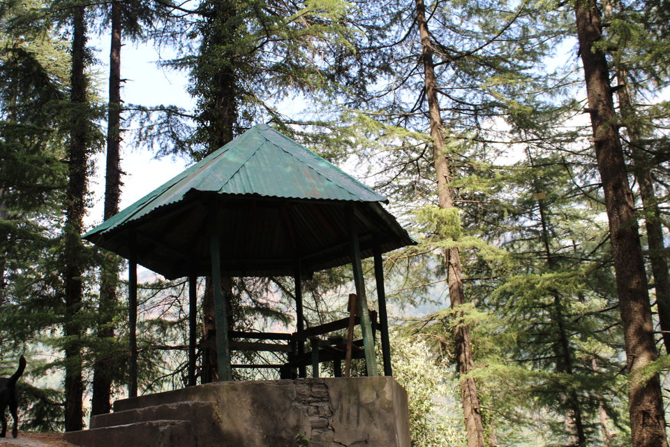 Photo of Barot- Far away from maddening crowds.. by Lopamudra Mandal