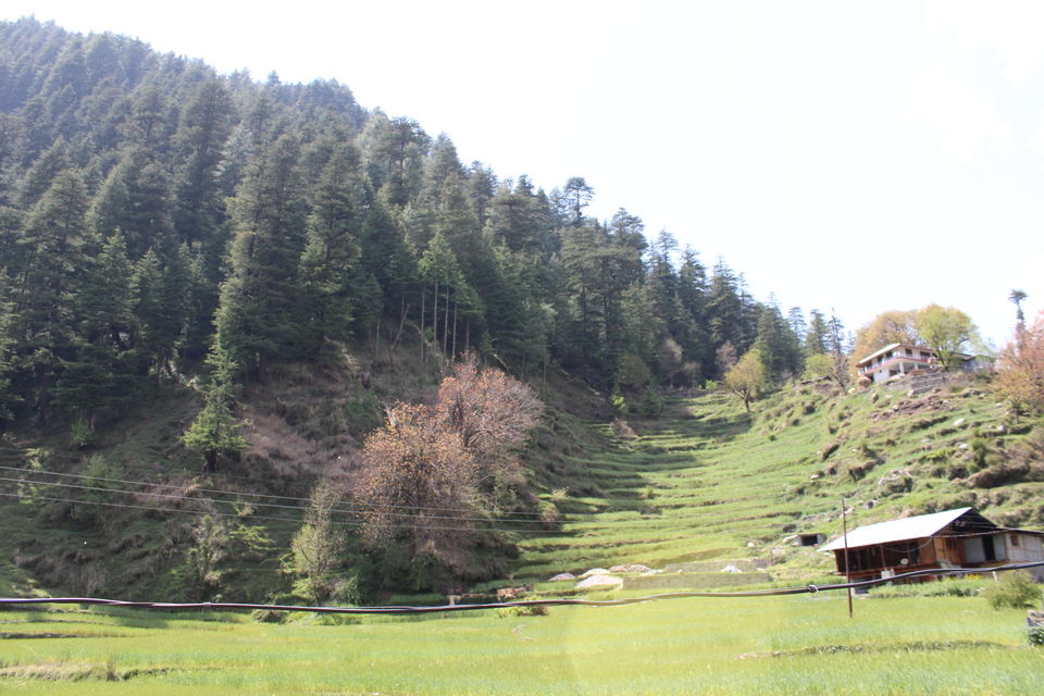 Photo of Barot- Far away from maddening crowds.. by Lopamudra Mandal