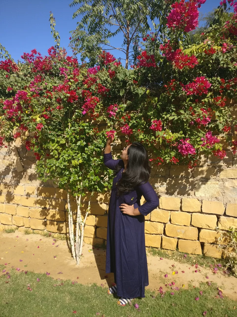 Photo of Hotel Golden Haveli, Bera Road, Postal Colony, Jaisalmer, Rajasthan, India by Lopamudra Mandal