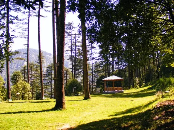 Photo of Dhanolti, Dhanolti, Uttarakhand, India by Antara Kumar