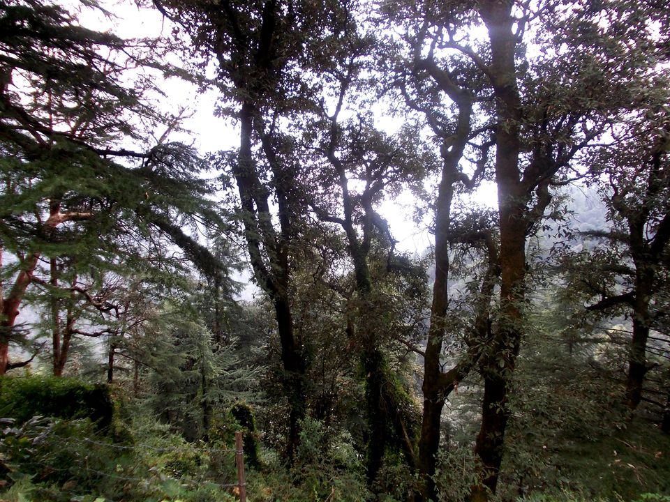 Photo of 5 Amazing Lesser Known Hill Stations in Northern and North-Eastern India 11/30 by Antara Kumar