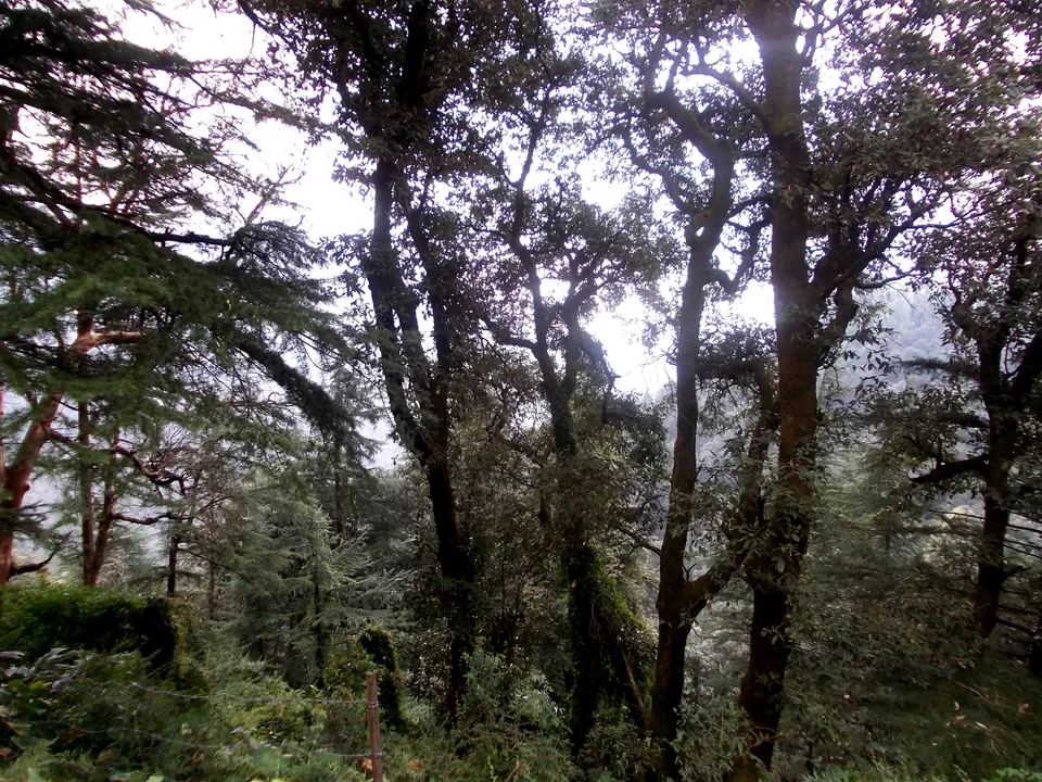 Photo of Bhagsu Nag, Bhagsu Nag, Dharamshala, Himachal Pradesh 176216, India by Antara Kumar