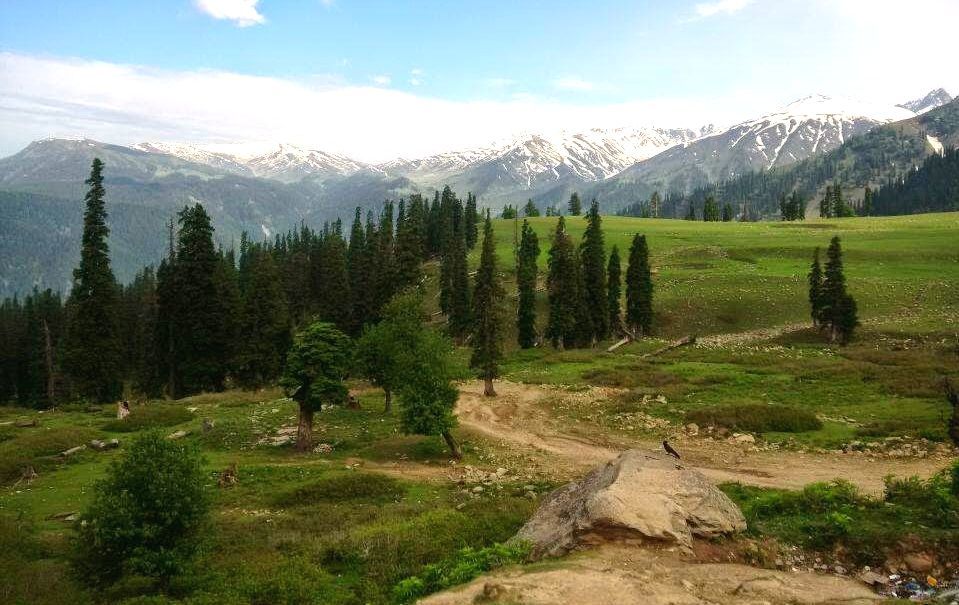 Photo of Khilanmarg, Gulmarg by Antara Kumar