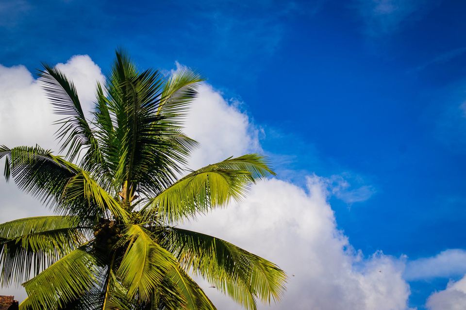 Photo of Madikeri, Karnataka, India by Raviteja Govindaraju