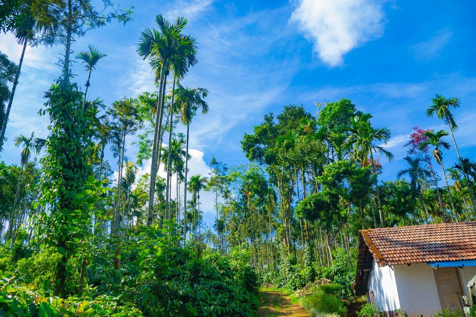 Photo of Madikeri, Karnataka, India by Raviteja Govindaraju