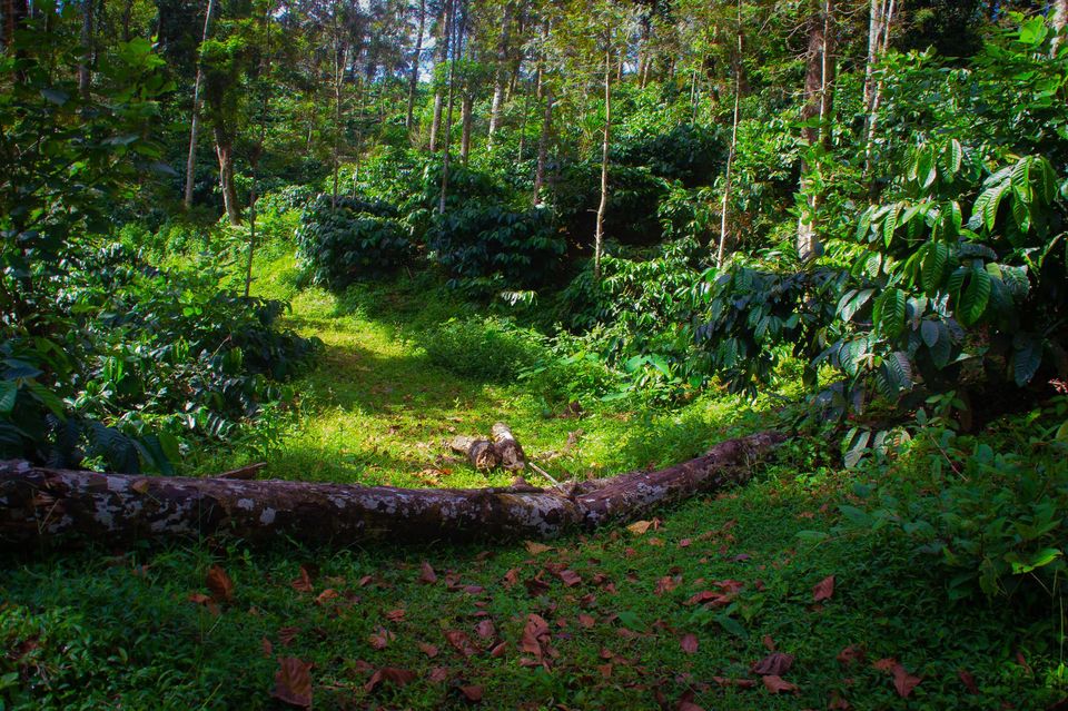 Photo of Madikeri, Karnataka, India by Raviteja Govindaraju