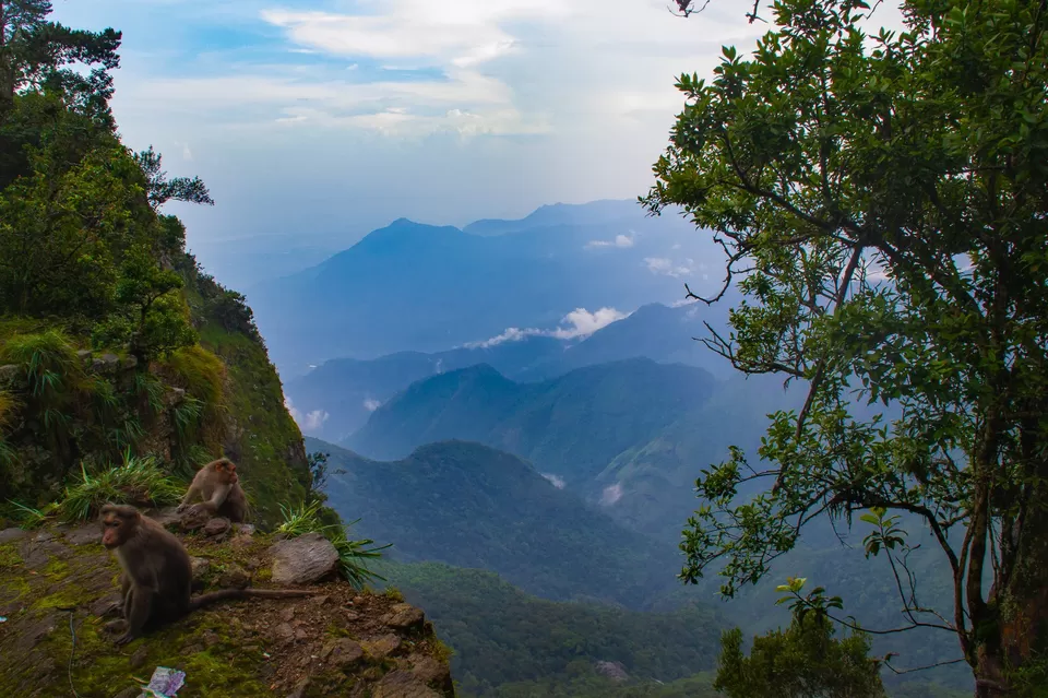 Photo of Guna Caves, Pillar Rocks Road, Tamil Nadu, India by Raviteja Govindaraju
