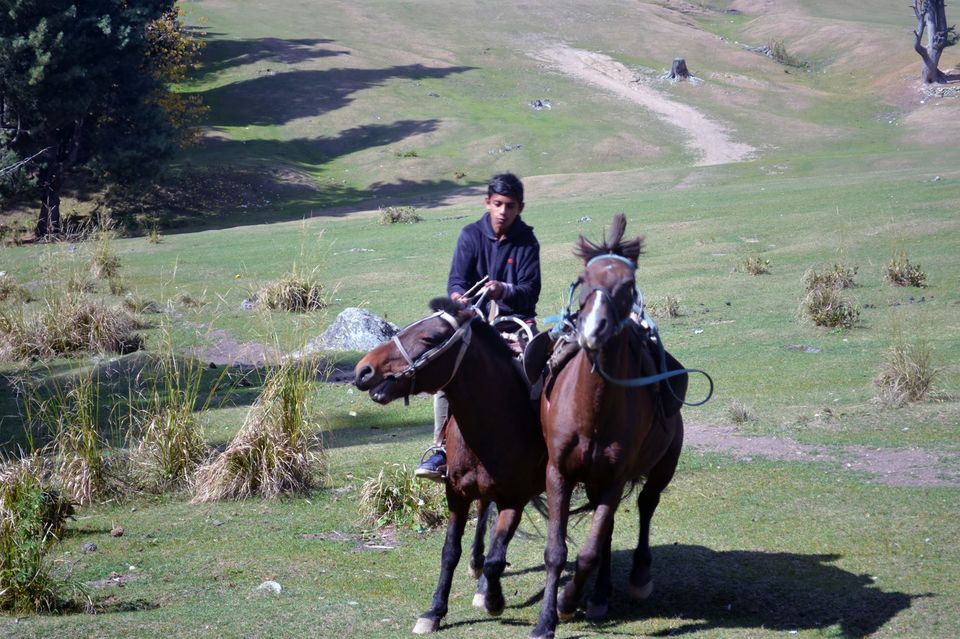 Photo of Photo Blog: An Unforgettable Holiday in Kashmir #kashmirinphotos by Raviteja Govindaraju