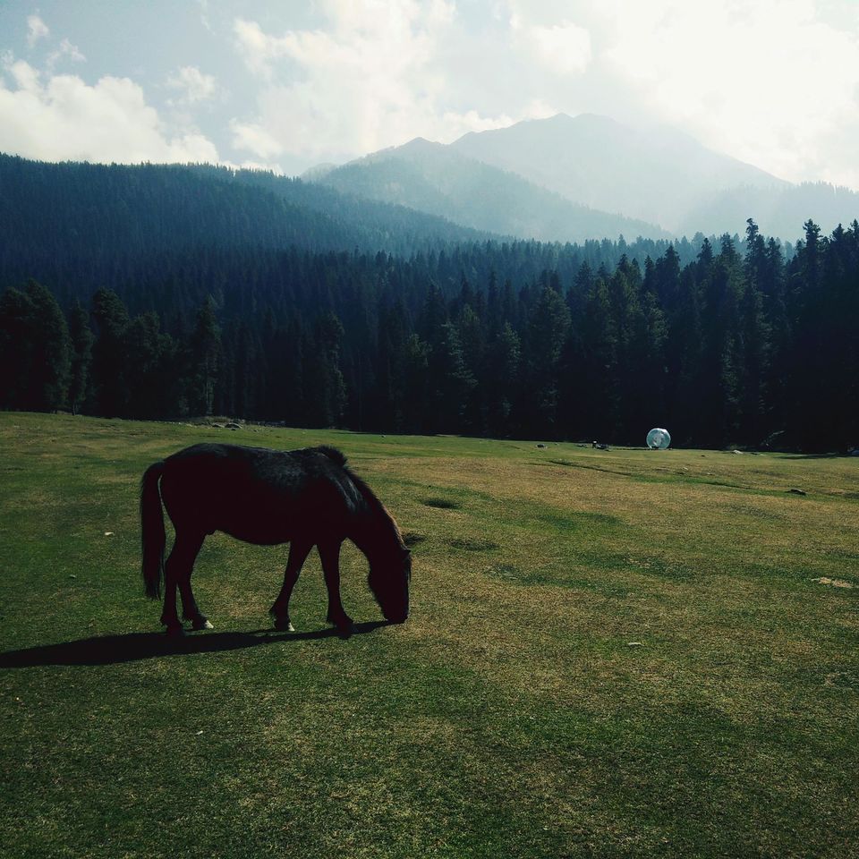 Photo of Photo Blog: An Unforgettable Holiday in Kashmir #kashmirinphotos by Raviteja Govindaraju