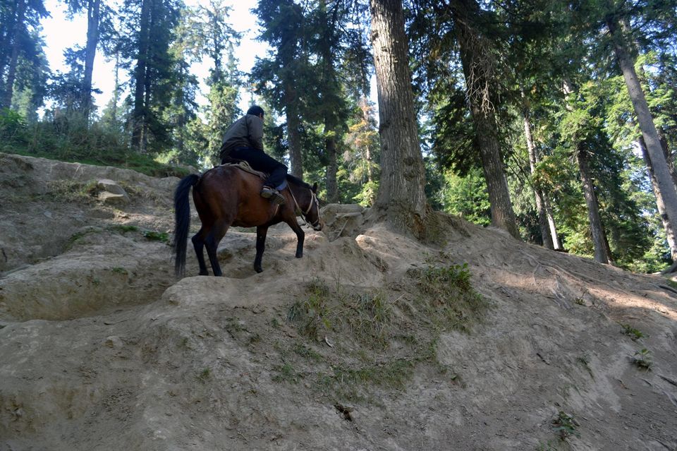 Photo of Photo Blog: An Unforgettable Holiday in Kashmir #kashmirinphotos by Raviteja Govindaraju