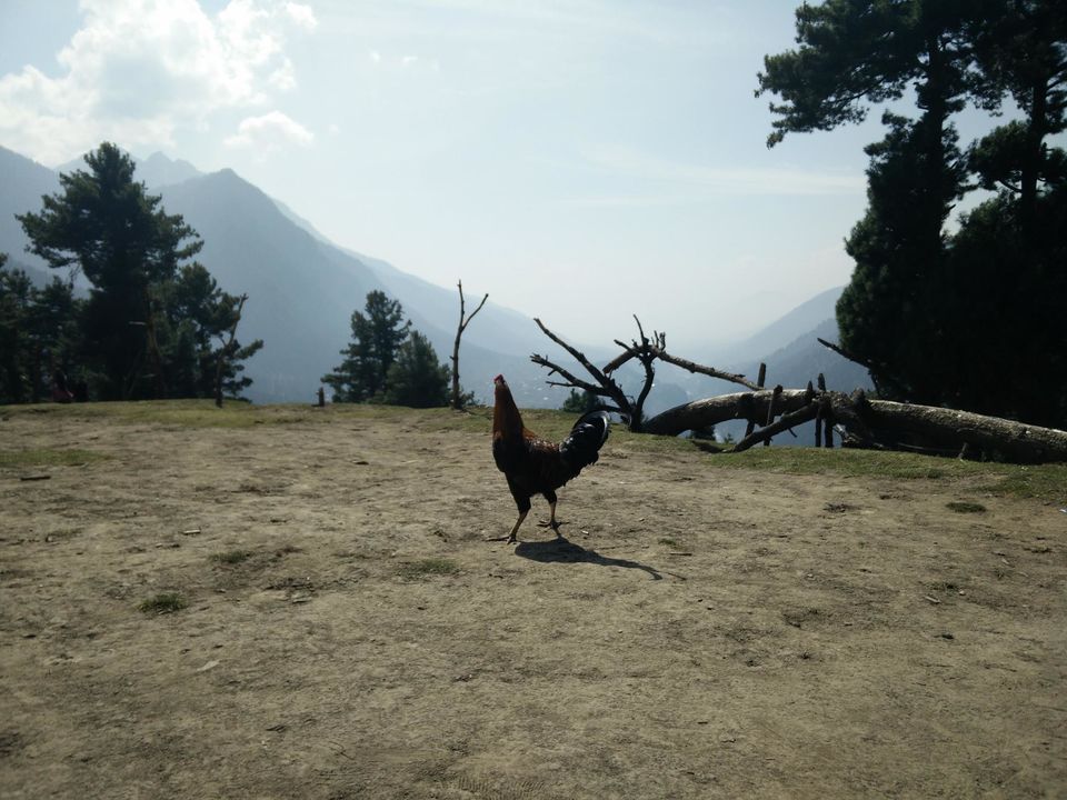 Photo of Photo Blog: An Unforgettable Holiday in Kashmir #kashmirinphotos by Raviteja Govindaraju