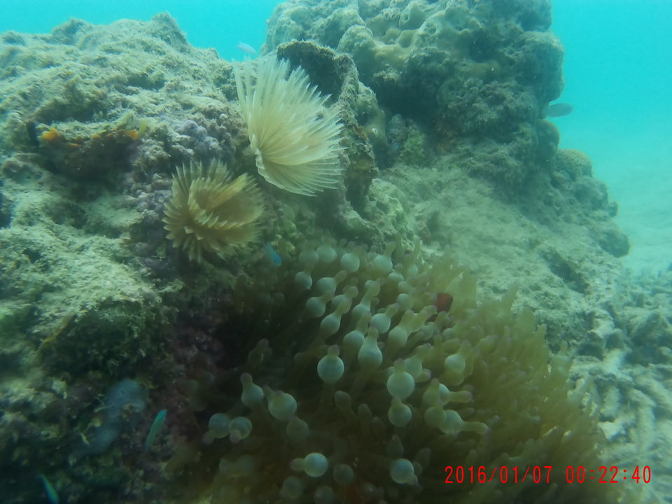 Photo of When I let go of my fear of water and scuba dived in Andaman #learningholiday 3/5 by Raviteja Govindaraju