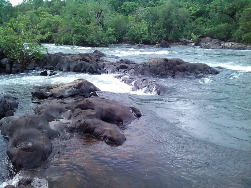 Photo of South Goa calling! 4/10 by Nikita Narvekar