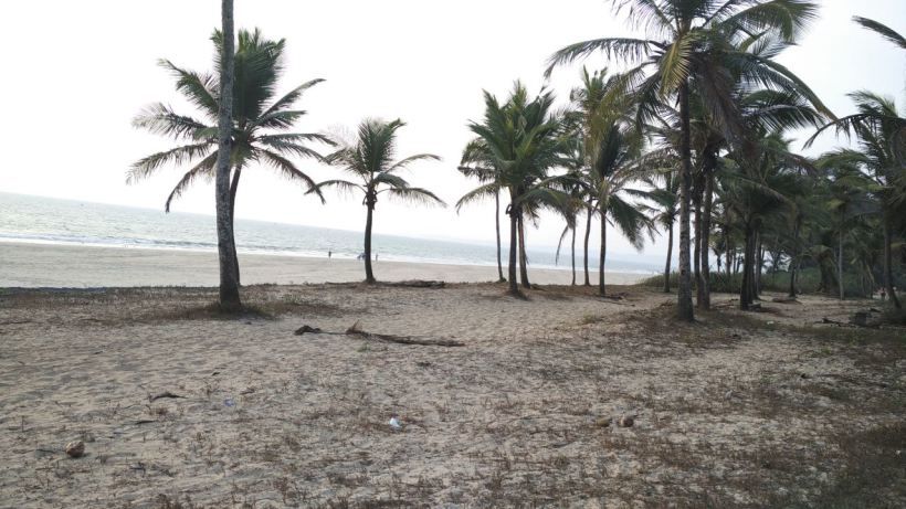 Photo of South Goa calling! 9/10 by Nikita Narvekar