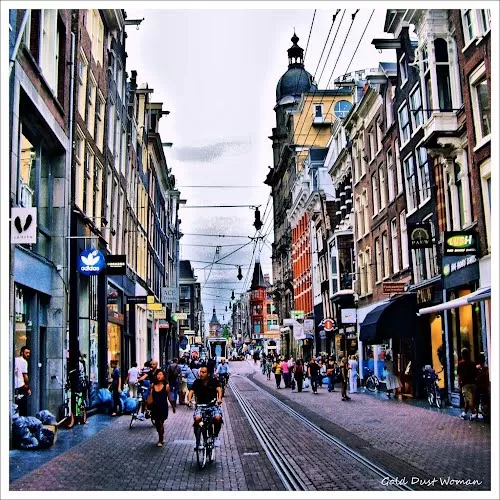 Photo of Maoz, Leidsestraat, Amsterdam, The Netherlands by Ria Kumbhat
