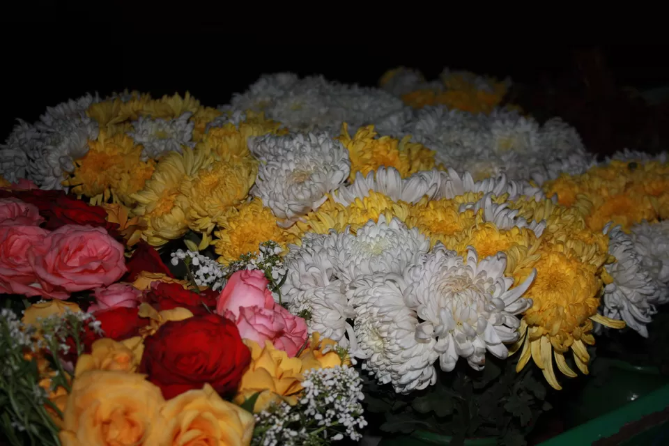 Photo of Srinagar by Ria Kumbhat