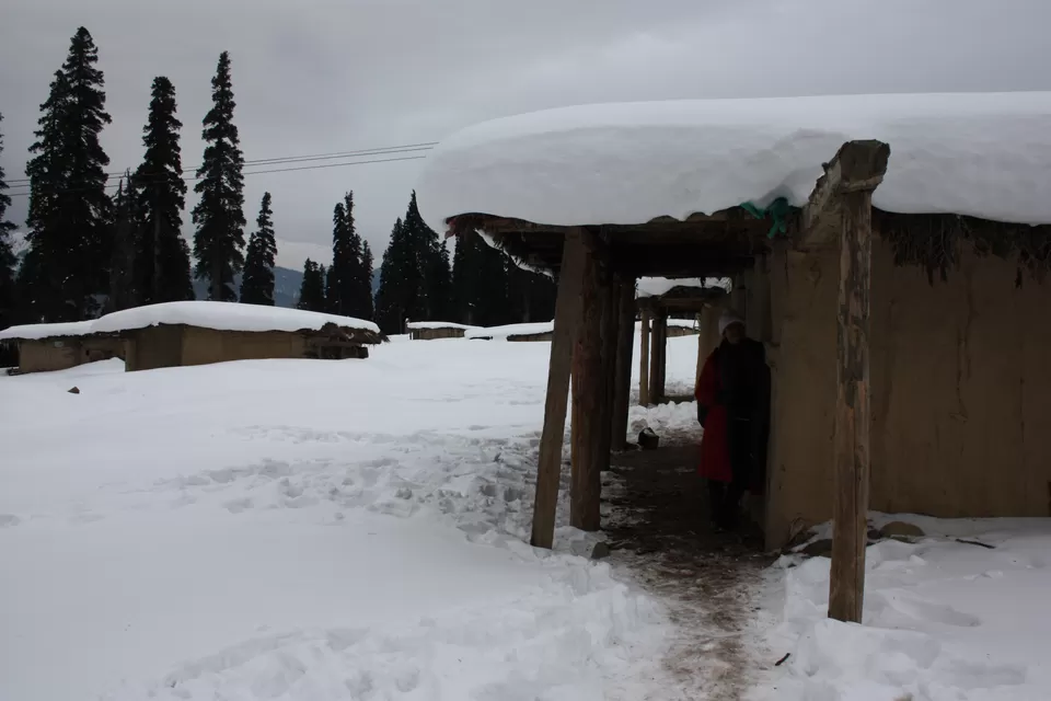 Photo of Gulmarg by Ria Kumbhat