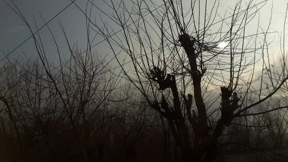 Photo of Pahalgam by Ria Kumbhat