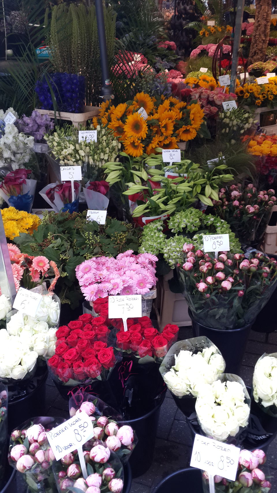 Photo of #AmsterdamDiaries by Ria Kumbhat