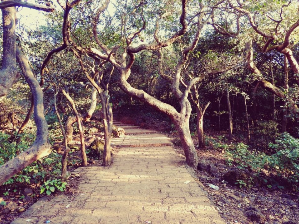 Photo of Mahabaleshwar, Maharashtra, India by Mandira Donde
