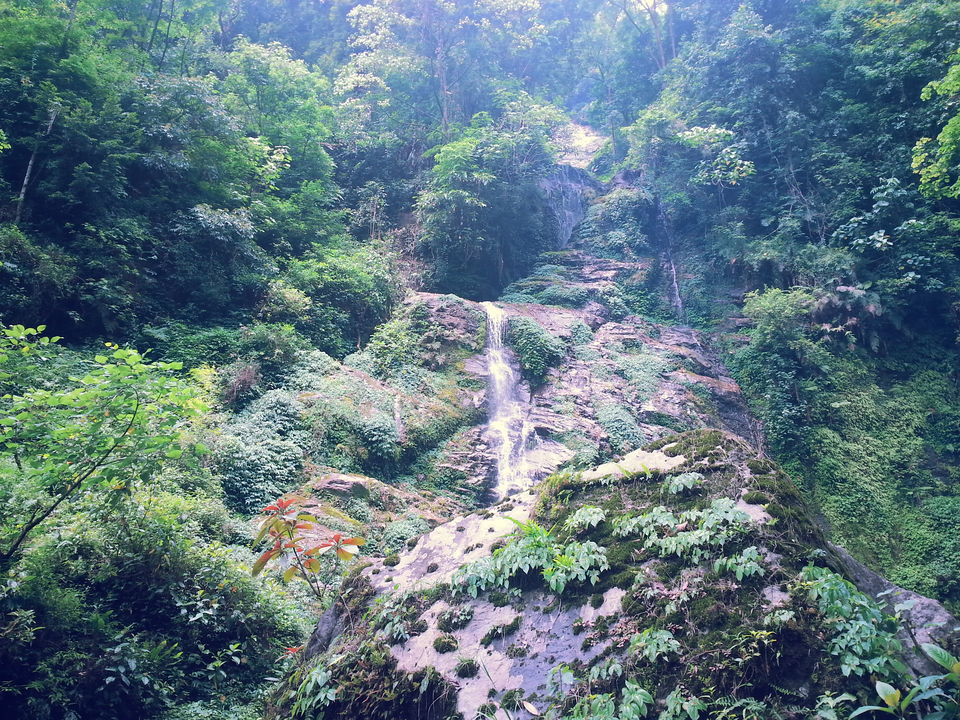 Photo of Pelling Sikkim, Pelling, Sikkim, India by Mandira Donde