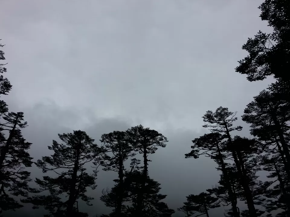 Photo of Lachung, Sikkim, India by Mandira Donde