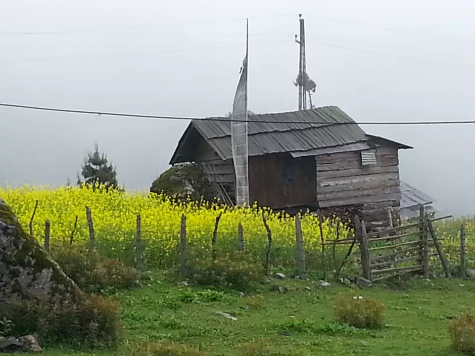 Photo of Lachung, Sikkim, India by Mandira Donde