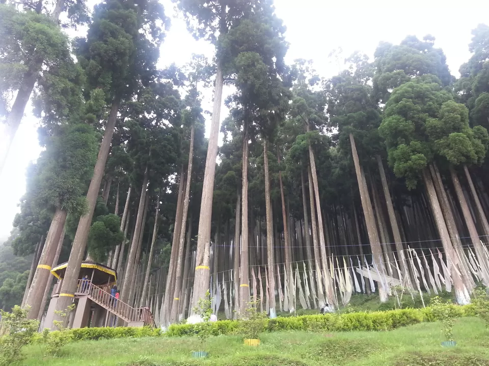 Photo of Darjeeling, West Bengal, India by Mandira Donde