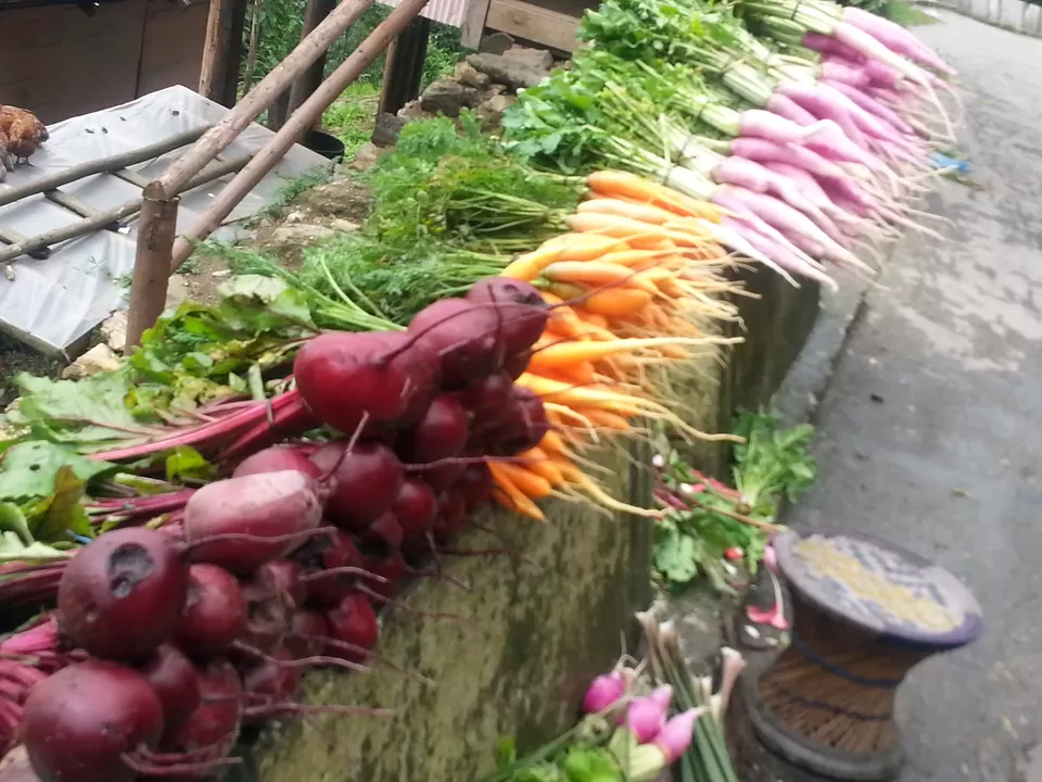 Photo of Darjeeling, West Bengal, India by Mandira Donde