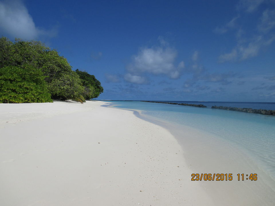 Photo of Maldives – Underwater heaven! 1/16 by Abhinav Chaudhary