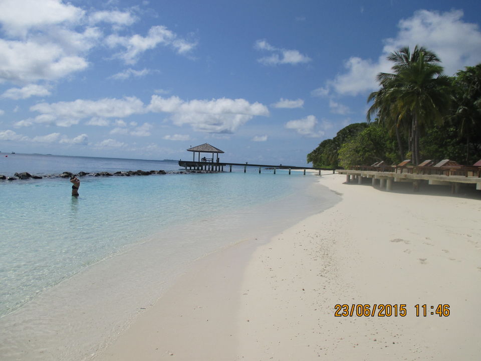 Photo of Maldives – Underwater heaven! 2/16 by Abhinav Chaudhary