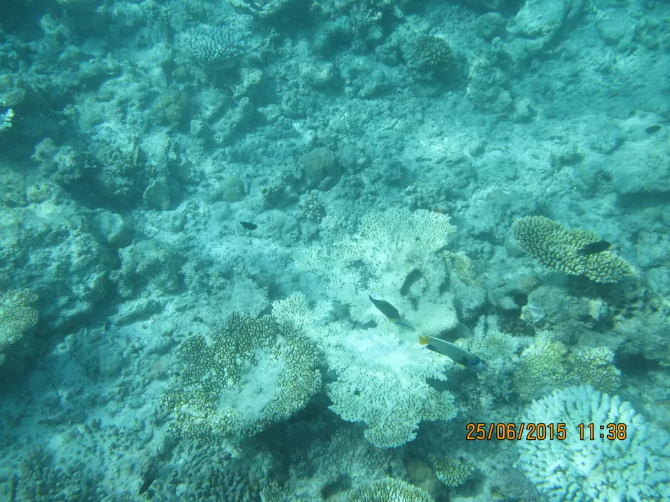 Photo of Royal Island Resort & Spa Maldives, Baa Atoll, Maldives by Abhinav Chaudhary