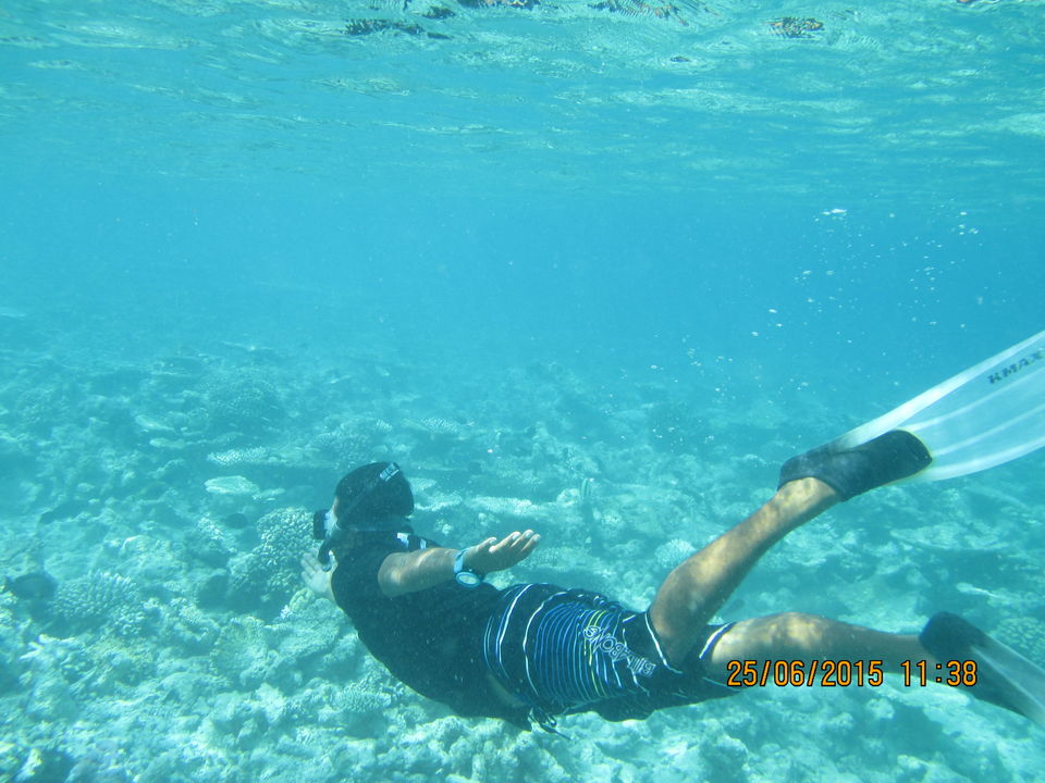 Photo of Maldives – Underwater heaven! 6/16 by Abhinav Chaudhary