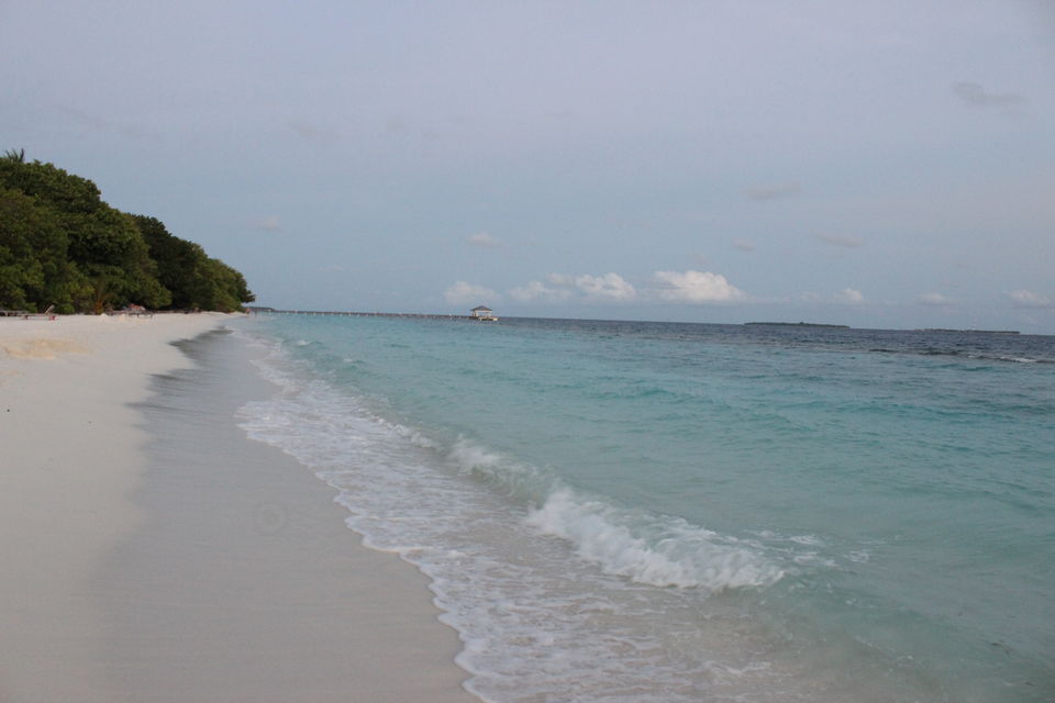 Photo of Maldives – Underwater heaven! 7/16 by Abhinav Chaudhary