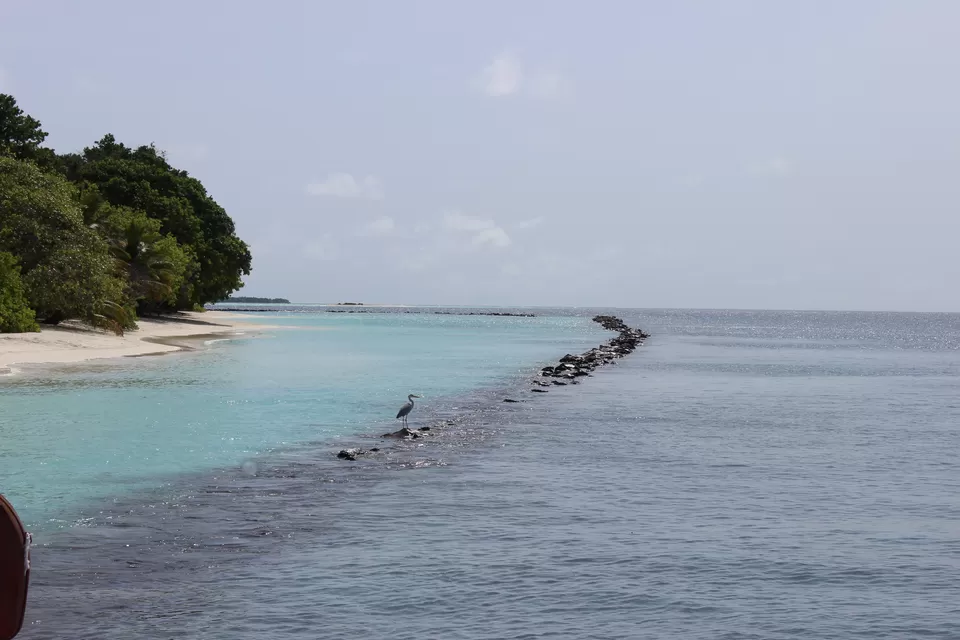 Photo of Royal Island Resort & Spa Maldives, Baa Atoll, Maldives by Abhinav Chaudhary