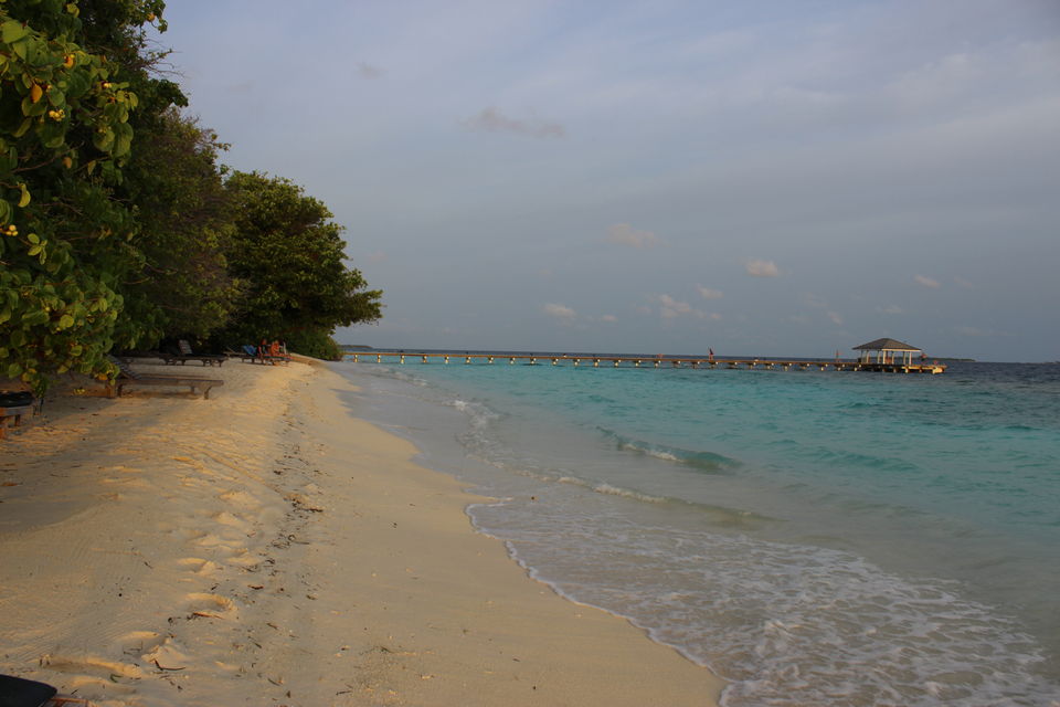 Photo of Maldives – Underwater heaven! 10/16 by Abhinav Chaudhary