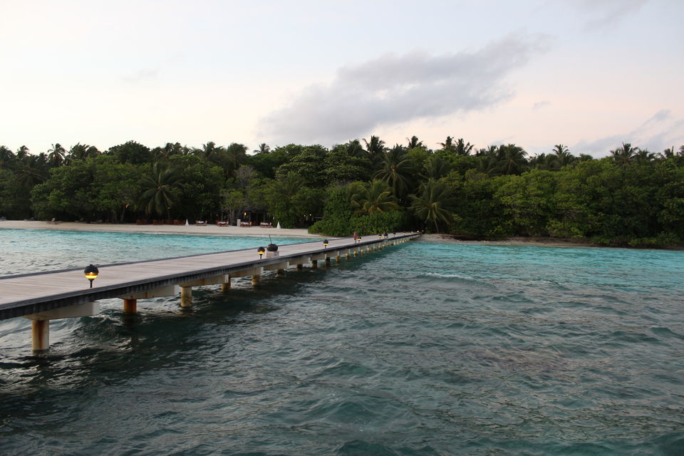 Photo of Maldives – Underwater heaven! 12/16 by Abhinav Chaudhary